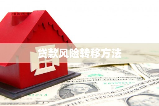 魏县贷款风险转移方法