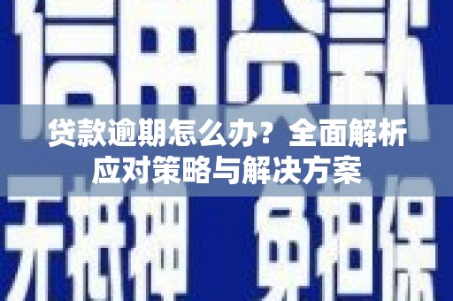 魏县贷款逾期怎么办？全面解析应对策略与解决方案
