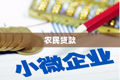 魏县农民贷款