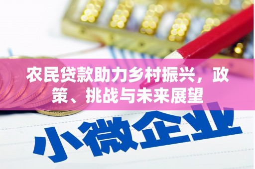 魏县农民贷款助力乡村振兴，政策、挑战与未来展望