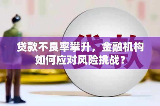 魏县贷款不良率攀升，金融机构如何应对风险挑战？