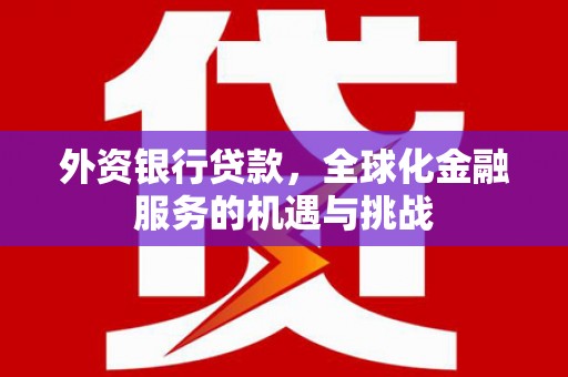魏县外资银行贷款，全球化金融服务的机遇与挑战