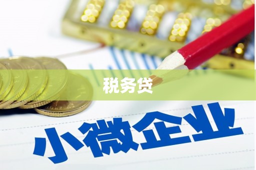 魏县税务贷