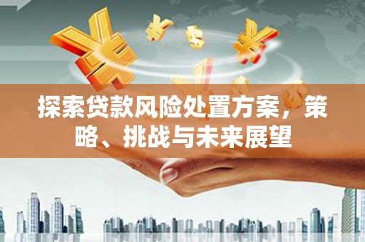 魏县探索贷款风险处置方案，策略、挑战与未来展望