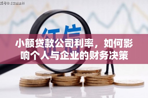 魏县小额贷款公司利率，如何影响个人与企业的财务决策