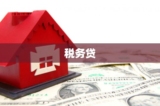 魏县税务贷