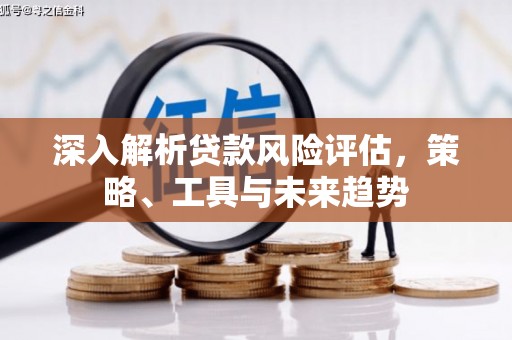 魏县深入解析贷款风险评估，策略、工具与未来趋势