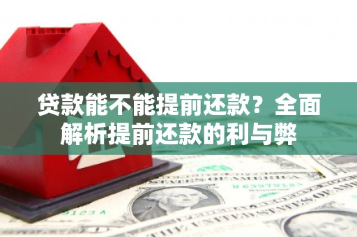 魏县贷款能不能提前还款？全面解析提前还款的利与弊