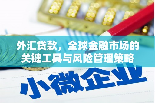 魏县外汇贷款，全球金融市场的关键工具与风险管理策略