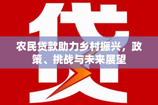 魏县农民贷款助力乡村振兴，政策、挑战与未来展望
