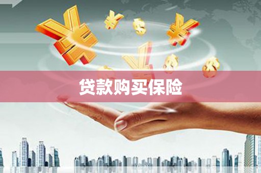 魏县贷款购买保险