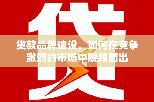 魏县贷款品牌建设，如何在竞争激烈的市场中脱颖而出