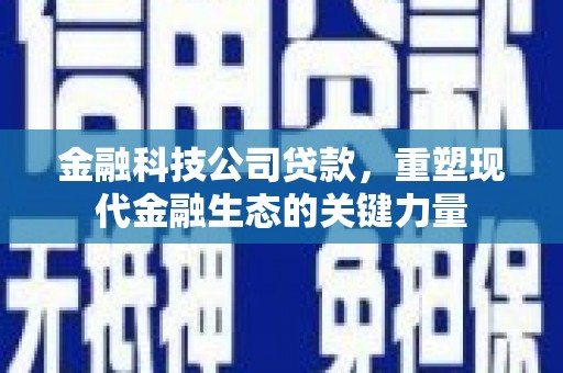 魏县金融科技公司贷款，重塑现代金融生态的关键力量