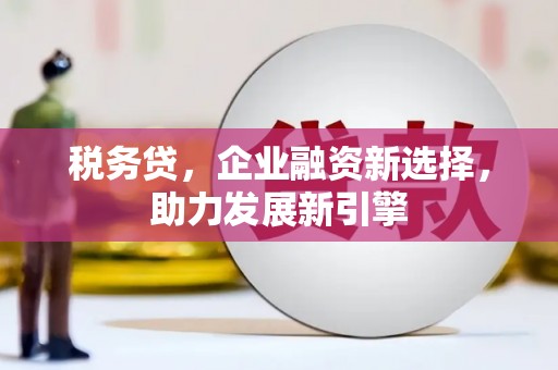 魏县税务贷，企业融资新选择，助力发展新引擎