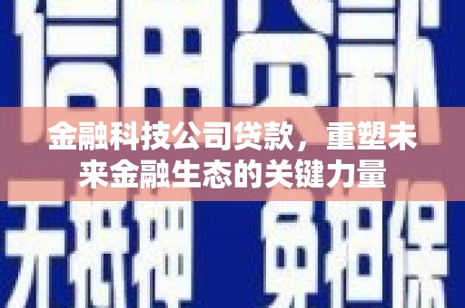 魏县金融科技公司贷款，重塑未来金融生态的关键力量