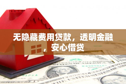 魏县无隐藏费用贷款，透明金融，安心借贷