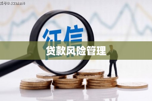 魏县贷款风险管理