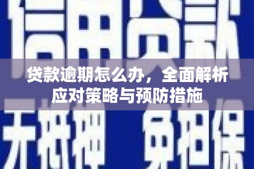 魏县贷款逾期怎么办，全面解析应对策略与预防措施