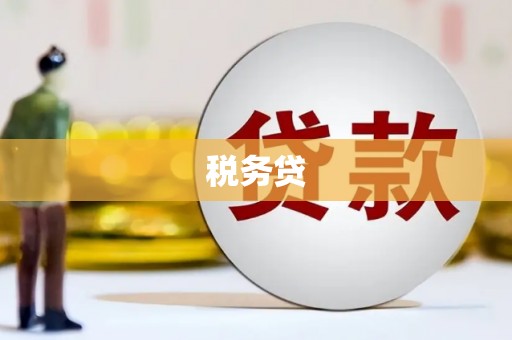 魏县税务贷