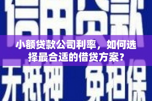 魏县小额贷款公司利率，如何选择最合适的借贷方案？