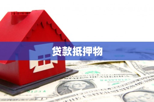 魏县贷款抵押物