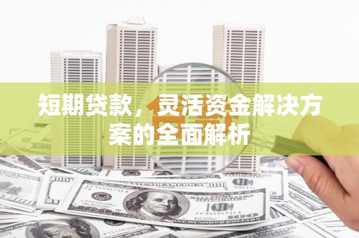 魏县短期贷款，灵活资金解决方案的全面解析