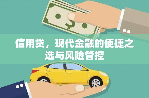 魏县信用贷，现代金融的便捷之选与风险管控