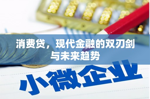 魏县消费贷，现代金融的双刃剑与未来趋势
