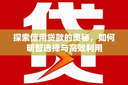 魏县探索信用贷款的奥秘，如何明智选择与高效利用