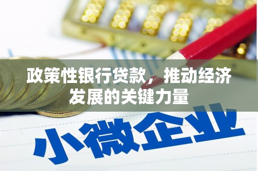 魏县政策性银行贷款，推动经济发展的关键力量