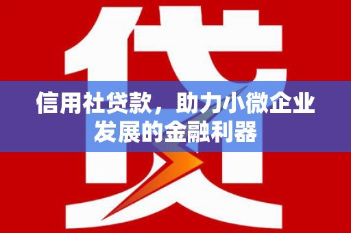 魏县信用社贷款，助力小微企业发展的金融利器