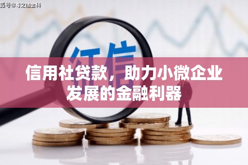 魏县信用社贷款，助力小微企业发展的金融利器