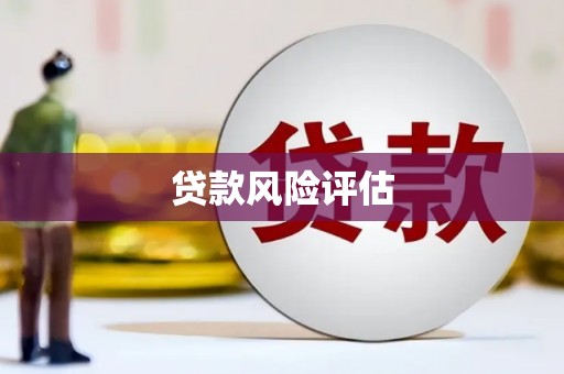 魏县贷款风险评估