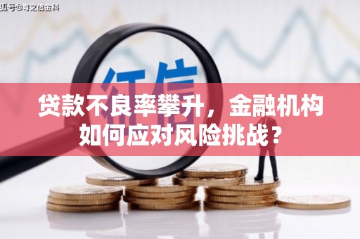 魏县贷款不良率攀升，金融机构如何应对风险挑战？