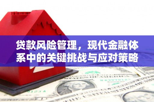 魏县贷款风险管理，现代金融体系中的关键挑战与应对策略