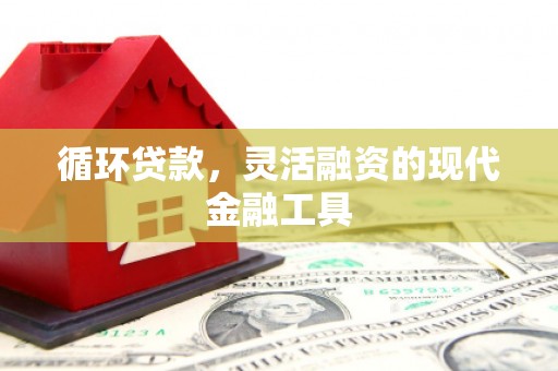 魏县循环贷款，灵活融资的现代金融工具