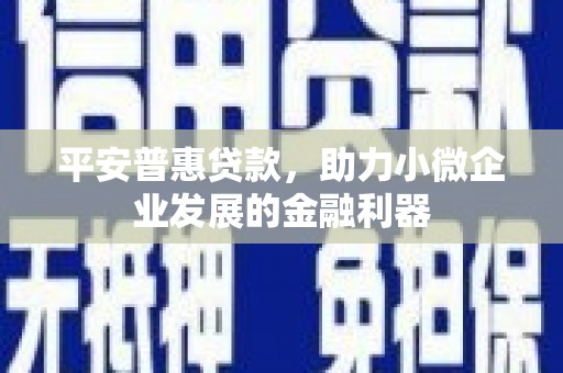 魏县平安普惠贷款，助力小微企业发展的金融利器