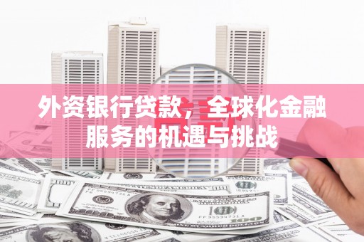 魏县外资银行贷款，全球化金融服务的机遇与挑战