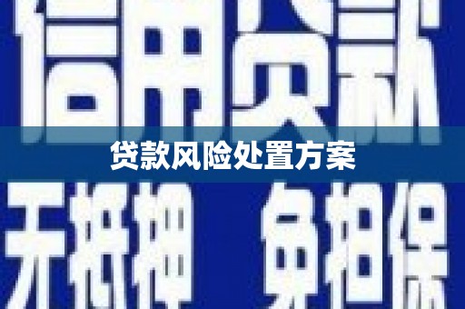 魏县贷款风险处置方案