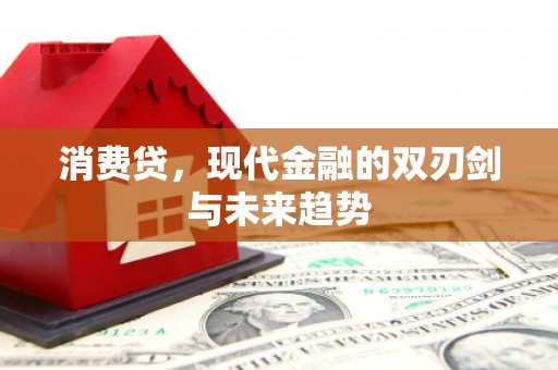 魏县消费贷，现代金融的双刃剑与未来趋势